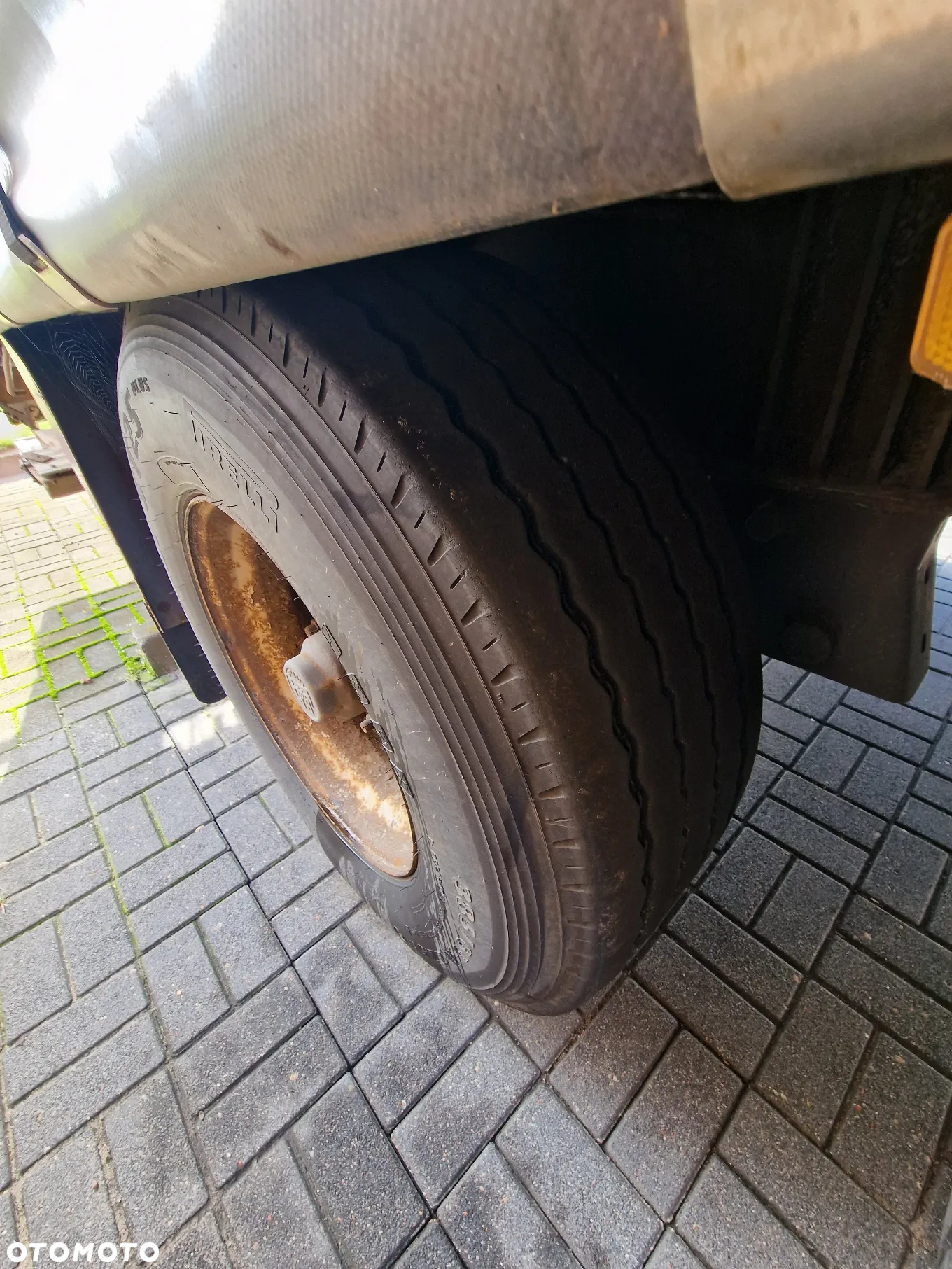 Jumbo - 3