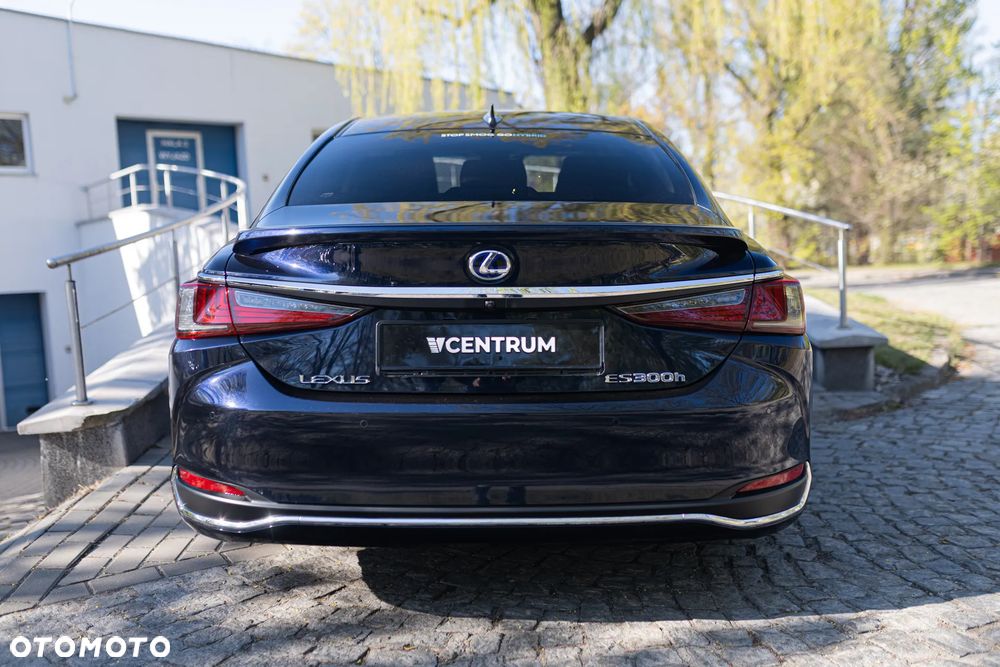Lexus ES 300h Omotenashi - 9