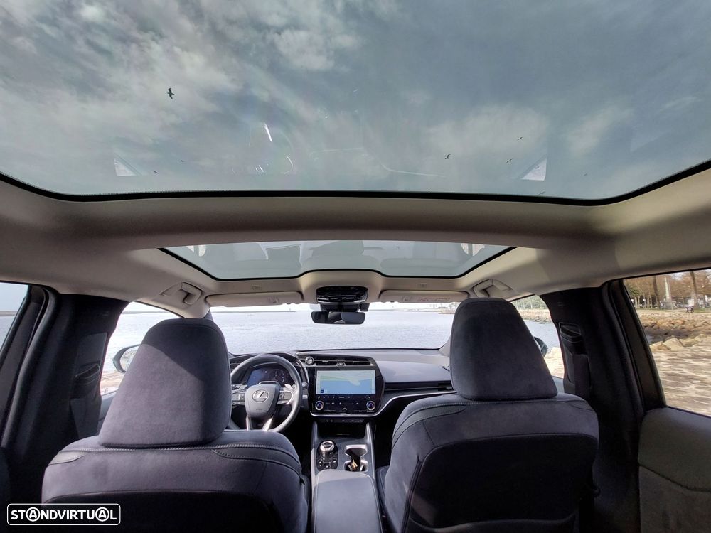 Lexus RZ 450e Luxury - 16