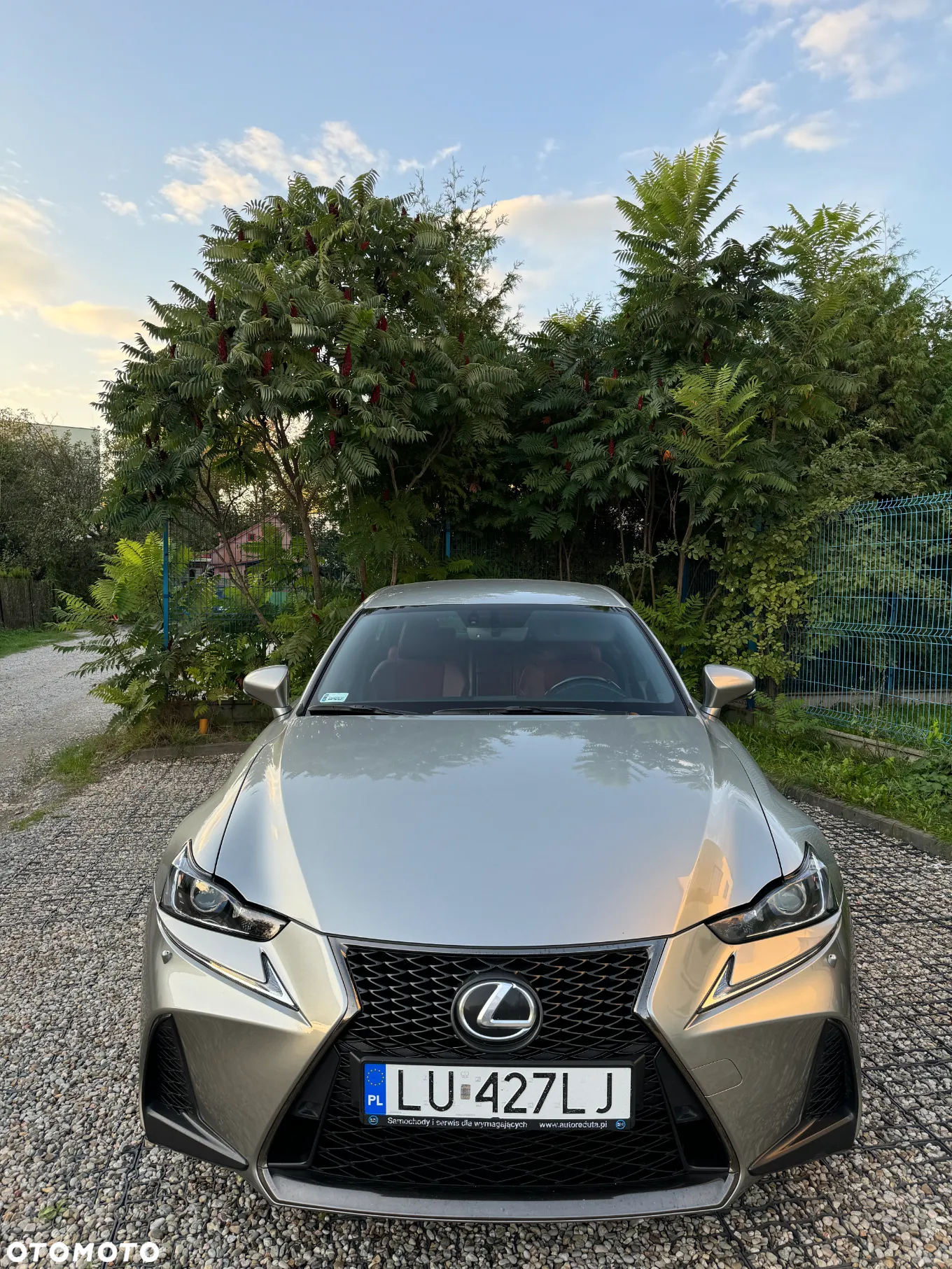 Lexus IS 200t / 300 F Sport - 2