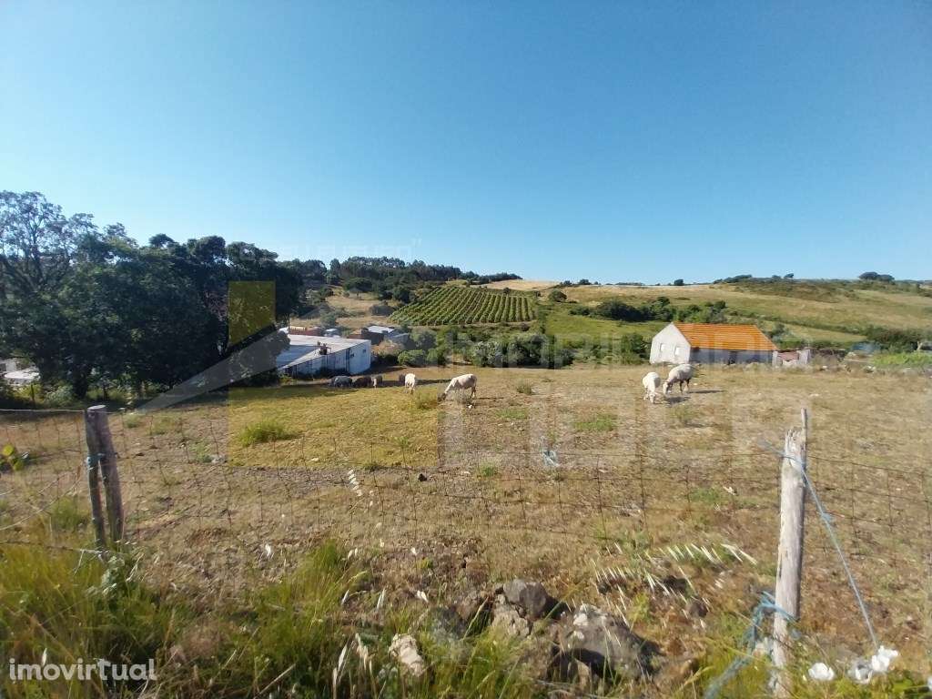 Terreno Rústico com 3937m2 na Igreja Nova, Mafra - Grande imagem: 4/9