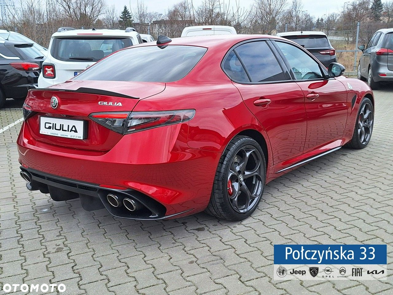 Alfa Romeo Giulia - 6