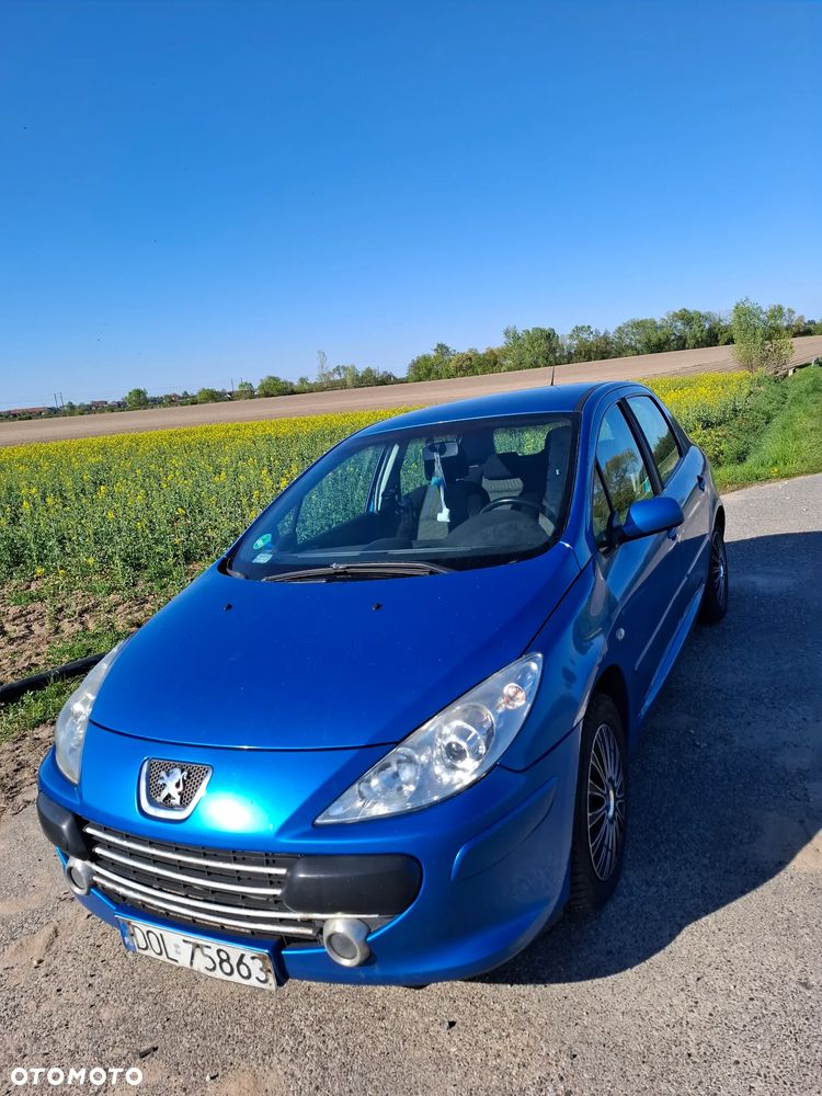 Peugeot 307 1.6 HDI Oxygo - 8