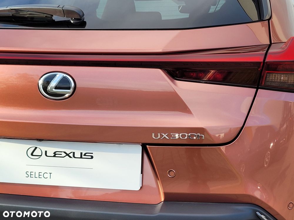 Lexus UX 300h F Sport Design - 11
