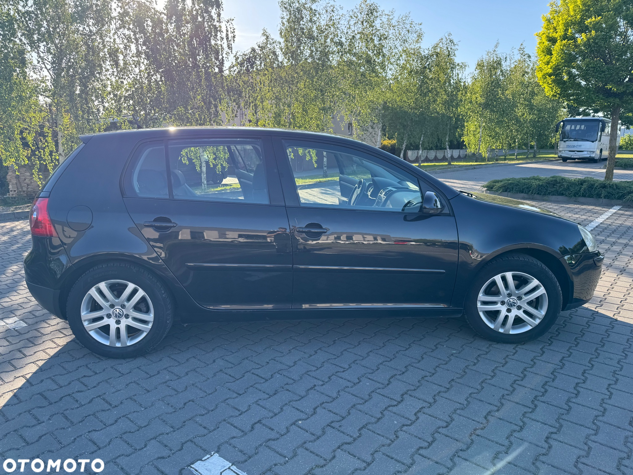 Volkswagen Golf - 8