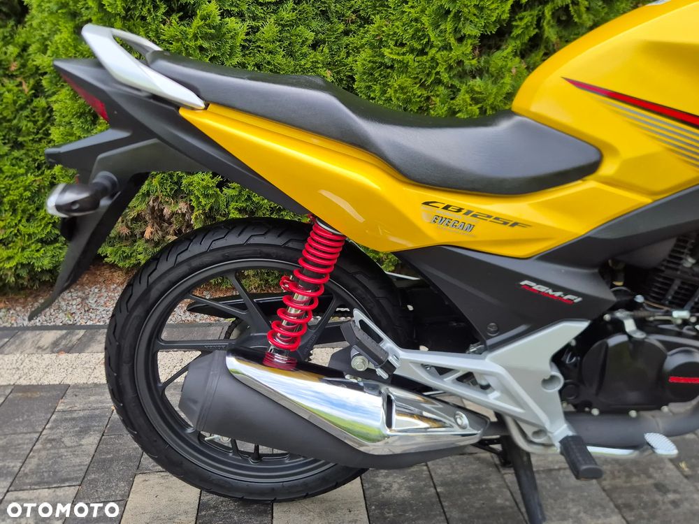 Honda CBF - 9