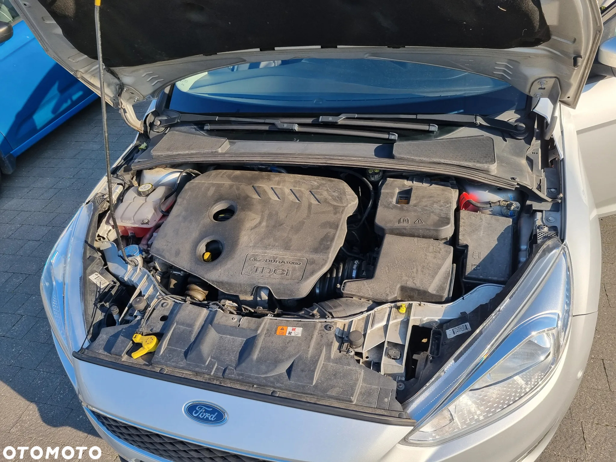 Ford Focus - 16