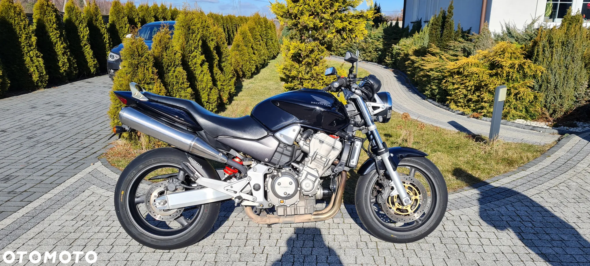 Honda Hornet - 11