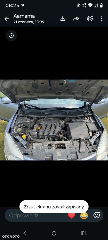 Renault Megane 1.6 16V 100 Authentique - 16