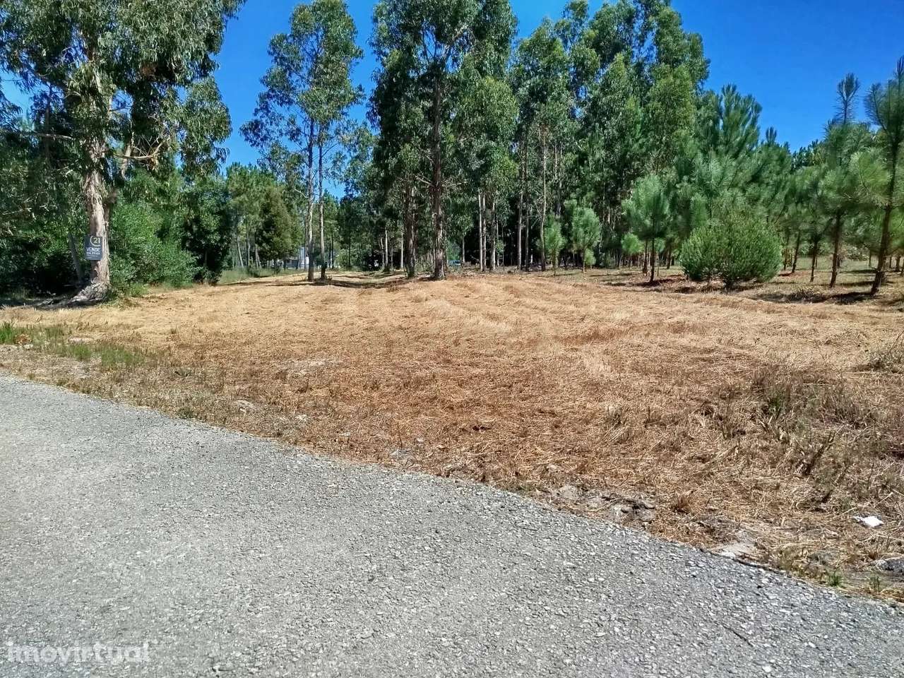 Terreno à Venda em Vagos, Aveiro - Oportunidade Única! - Grande imagem: 4/14