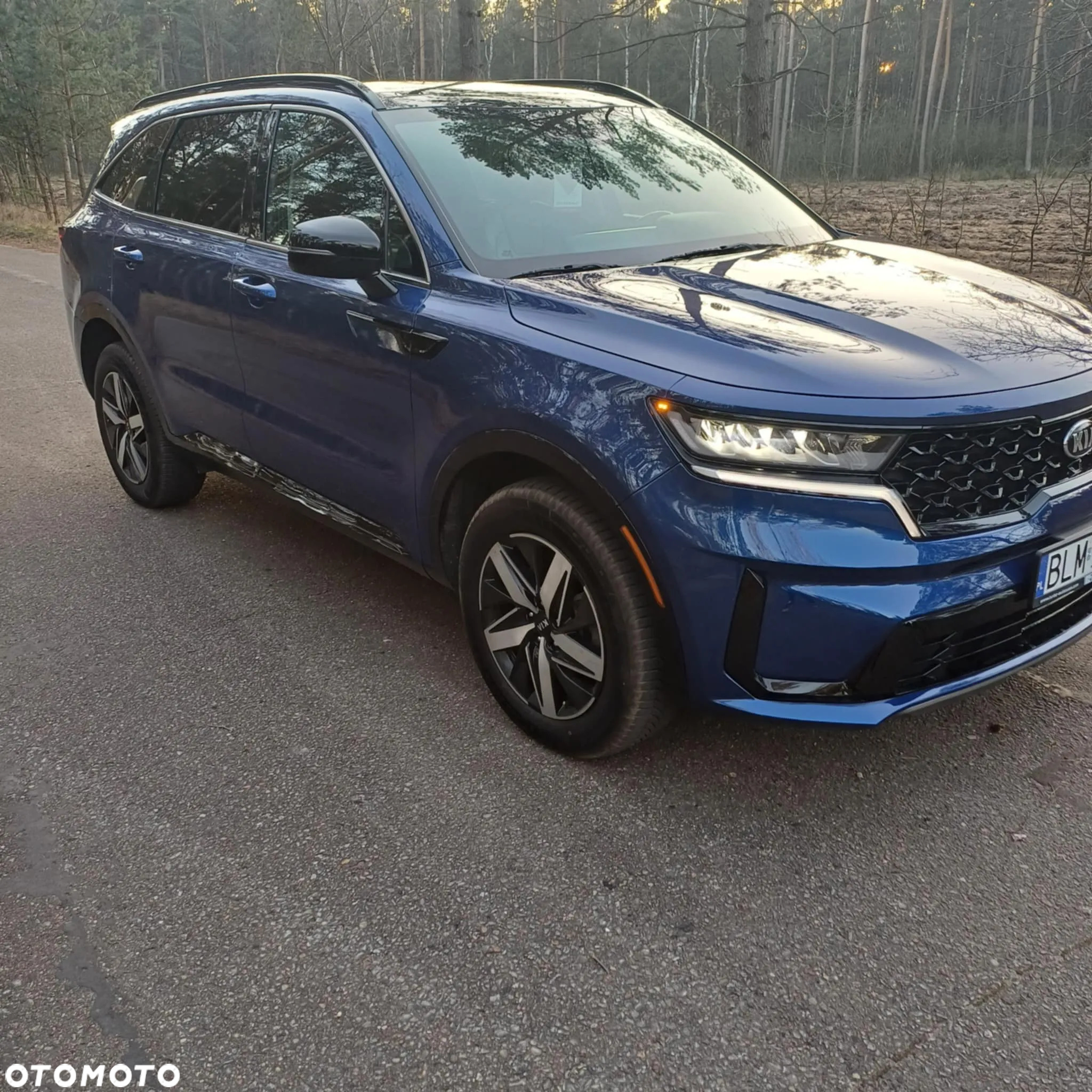 Kia Sorento - 9