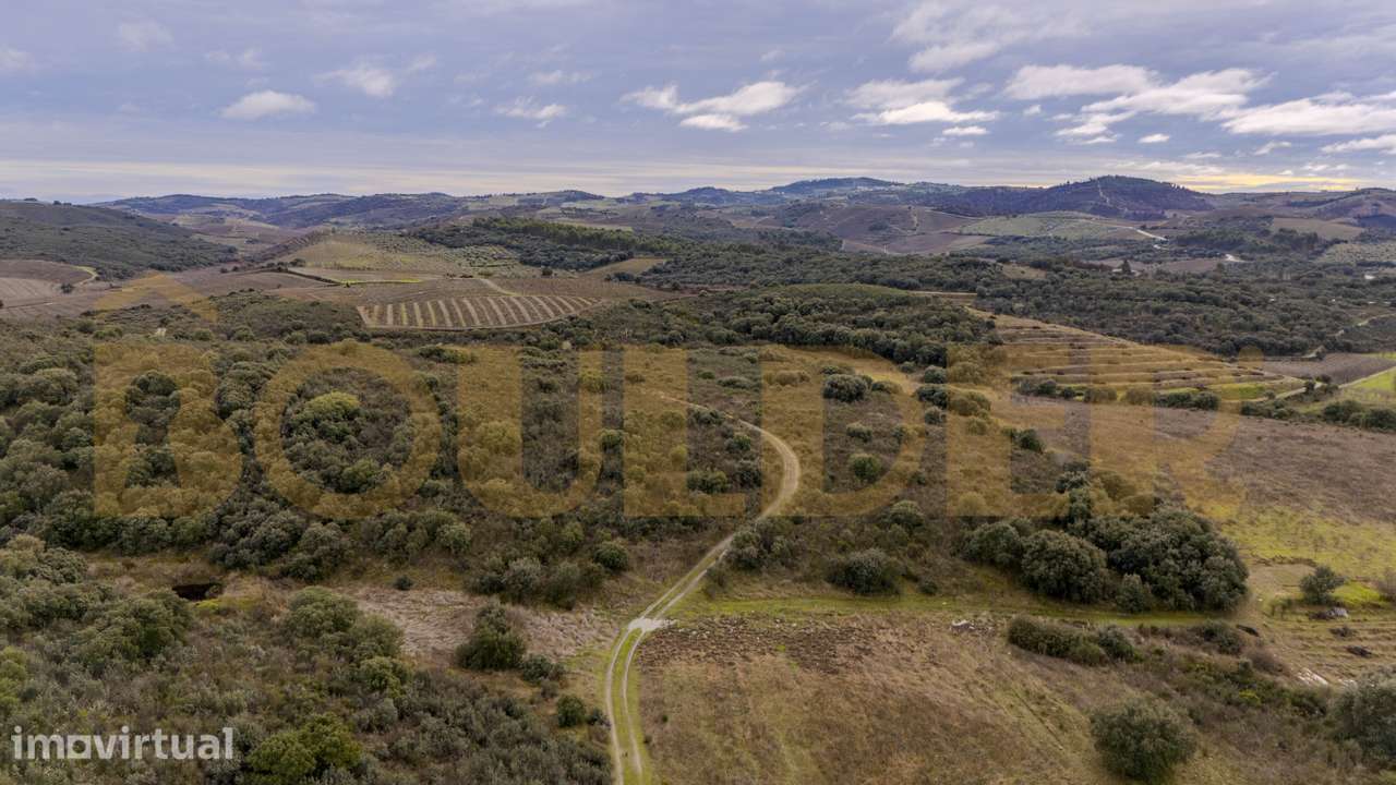 Quinta do Arieiro em Vila Nova de Foz Côa - Grande imagem: 5/52