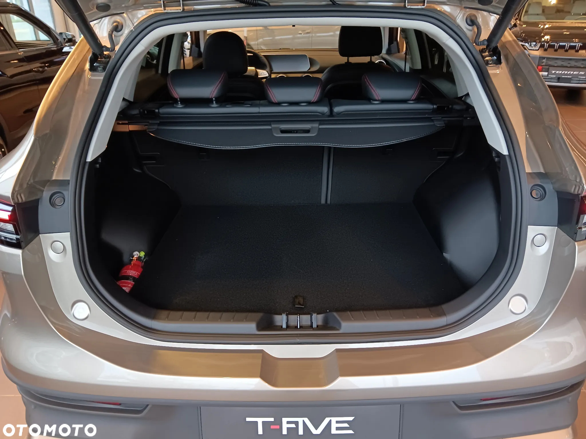 Forthing T5 EVO - 18