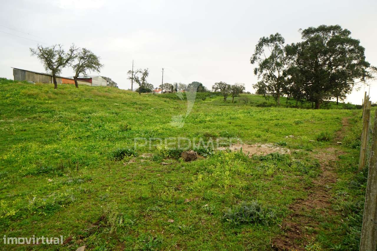 Terreno para construção, Santiago do Cacém - Grande imagem: 3/14