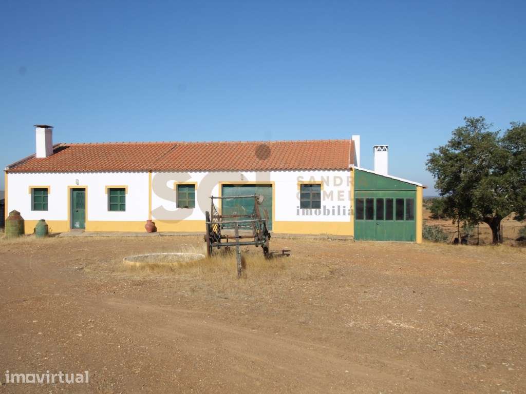 Quinta com cerca de trinta hectares no Alentejo, com monte Alenteja... - Grande imagem: 2/60