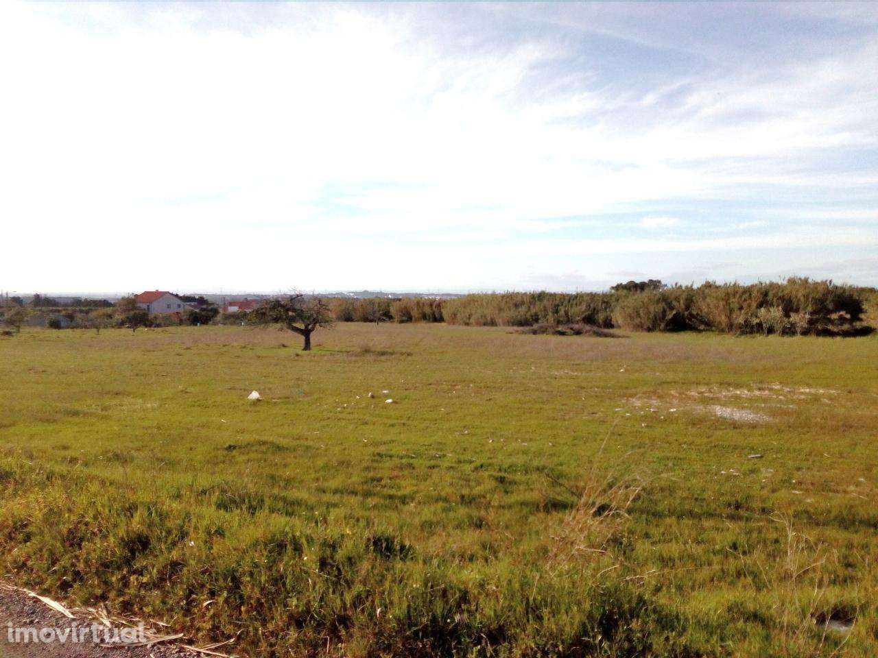 Palmela/ Cabanas Terreno com 1,5 Ha para construção de moradias. - Grande imagem: 5/8