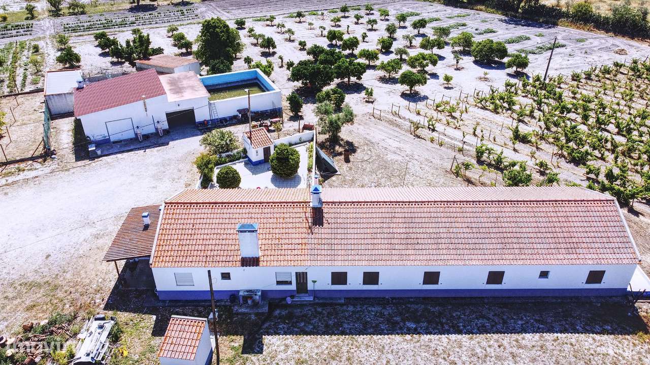 Paraíso no Alentejo - Grande imagem: 3/47