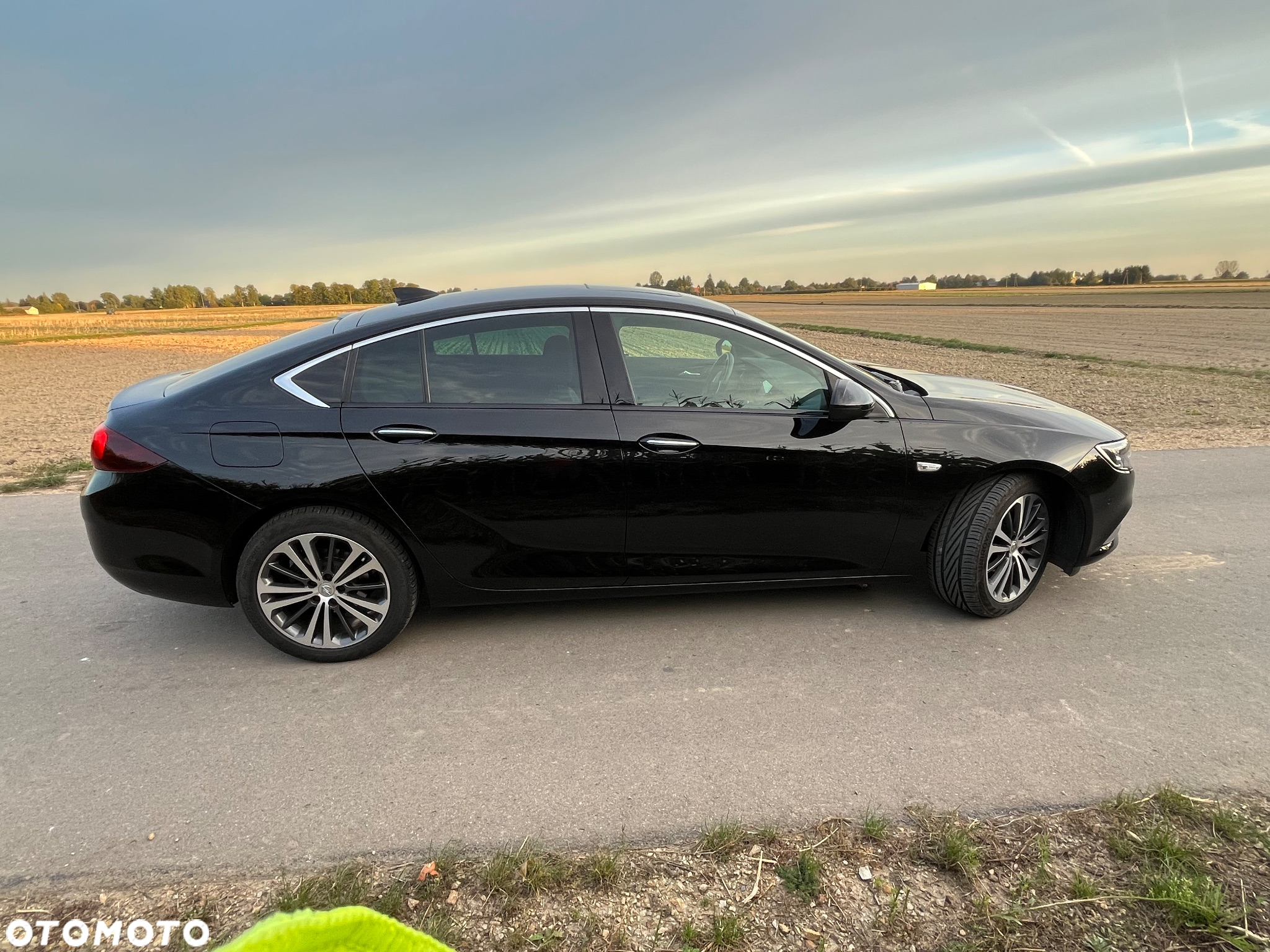 Opel Insignia 2.0 CDTI 4x4 Exclusive S&S - 10