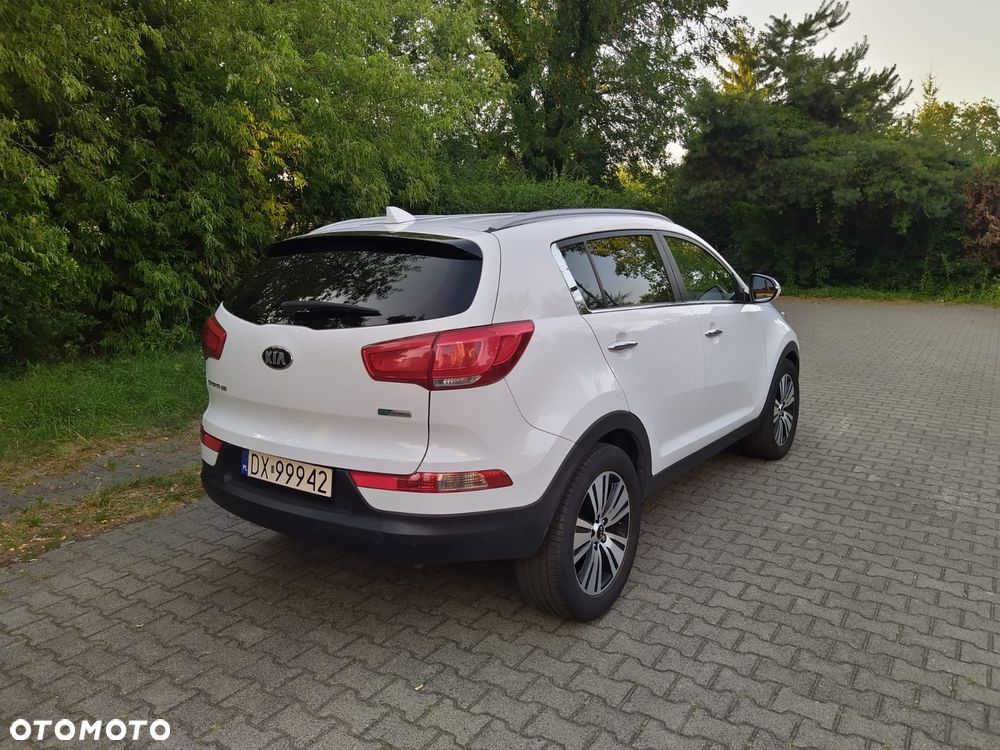 Kia Sportage - 22