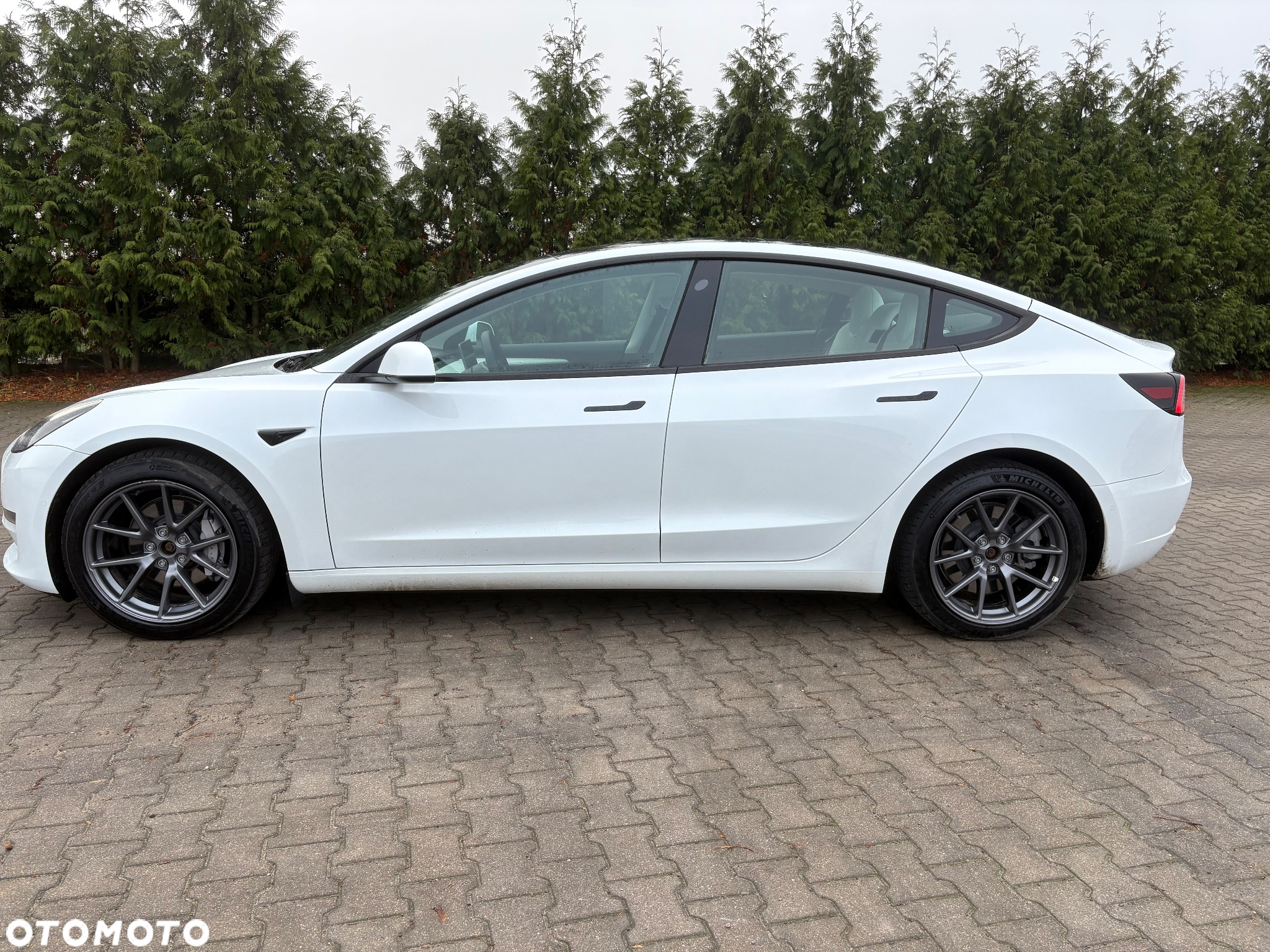 Tesla Model 3 Performance AWD - 2