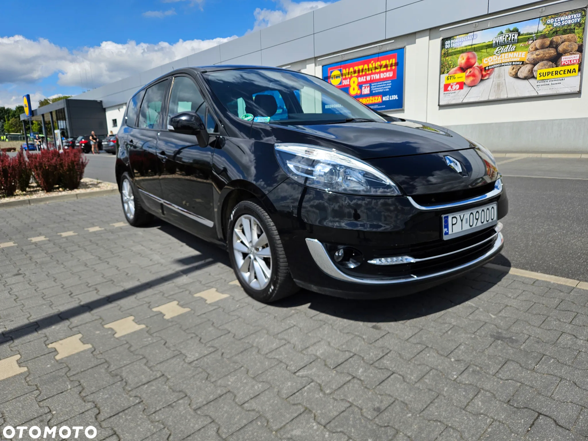 Renault Scenic - 3