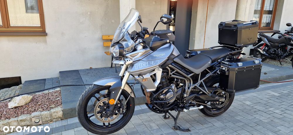 Triumph Tiger - 1