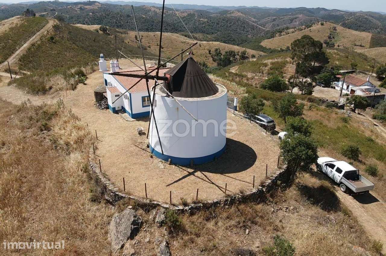 Quinta c/ 10.350m2, Moradia T2 + Moinho, em Santana da Serra - Grande imagem: 5/60