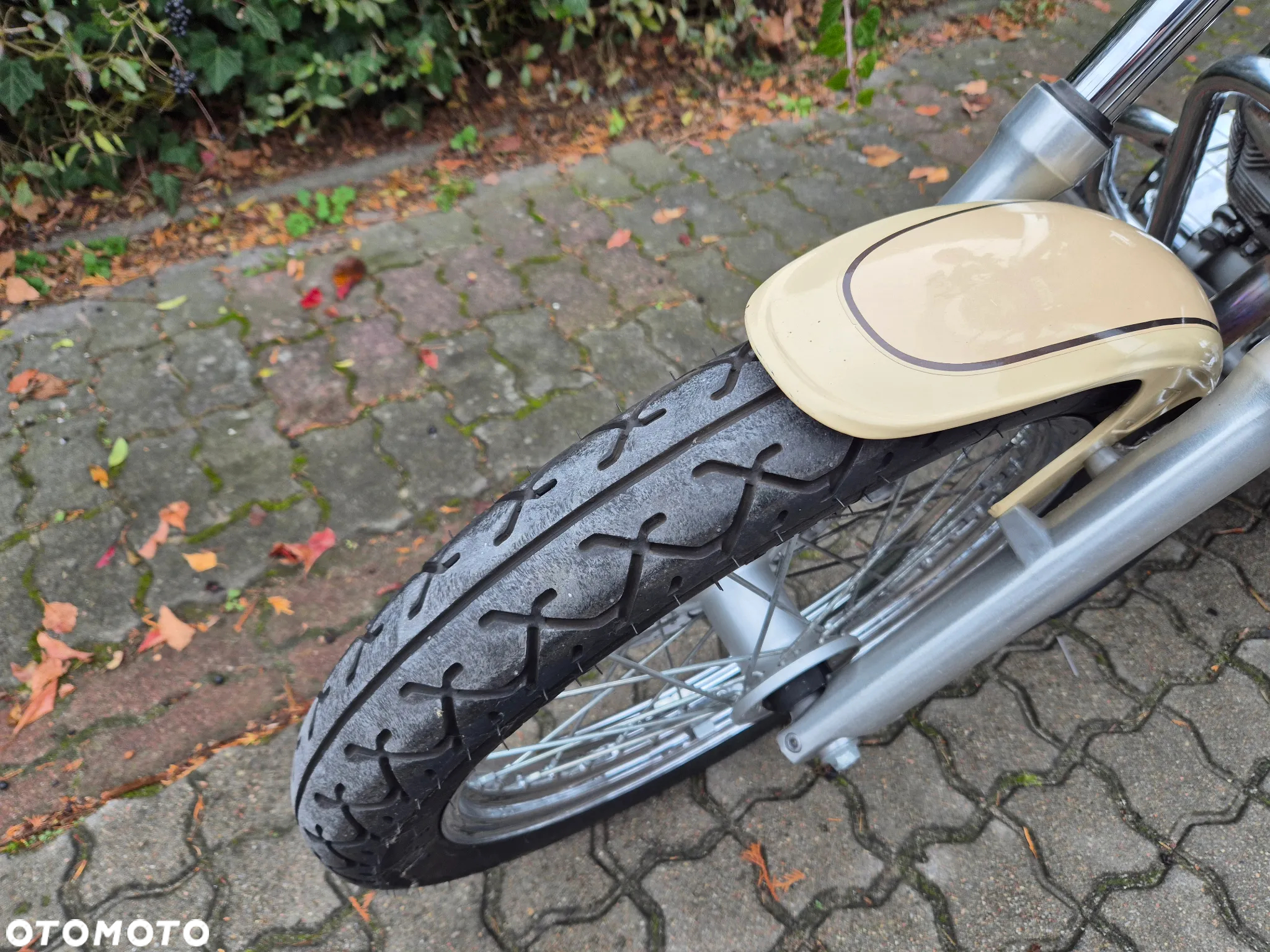 Yamaha Virago - 9