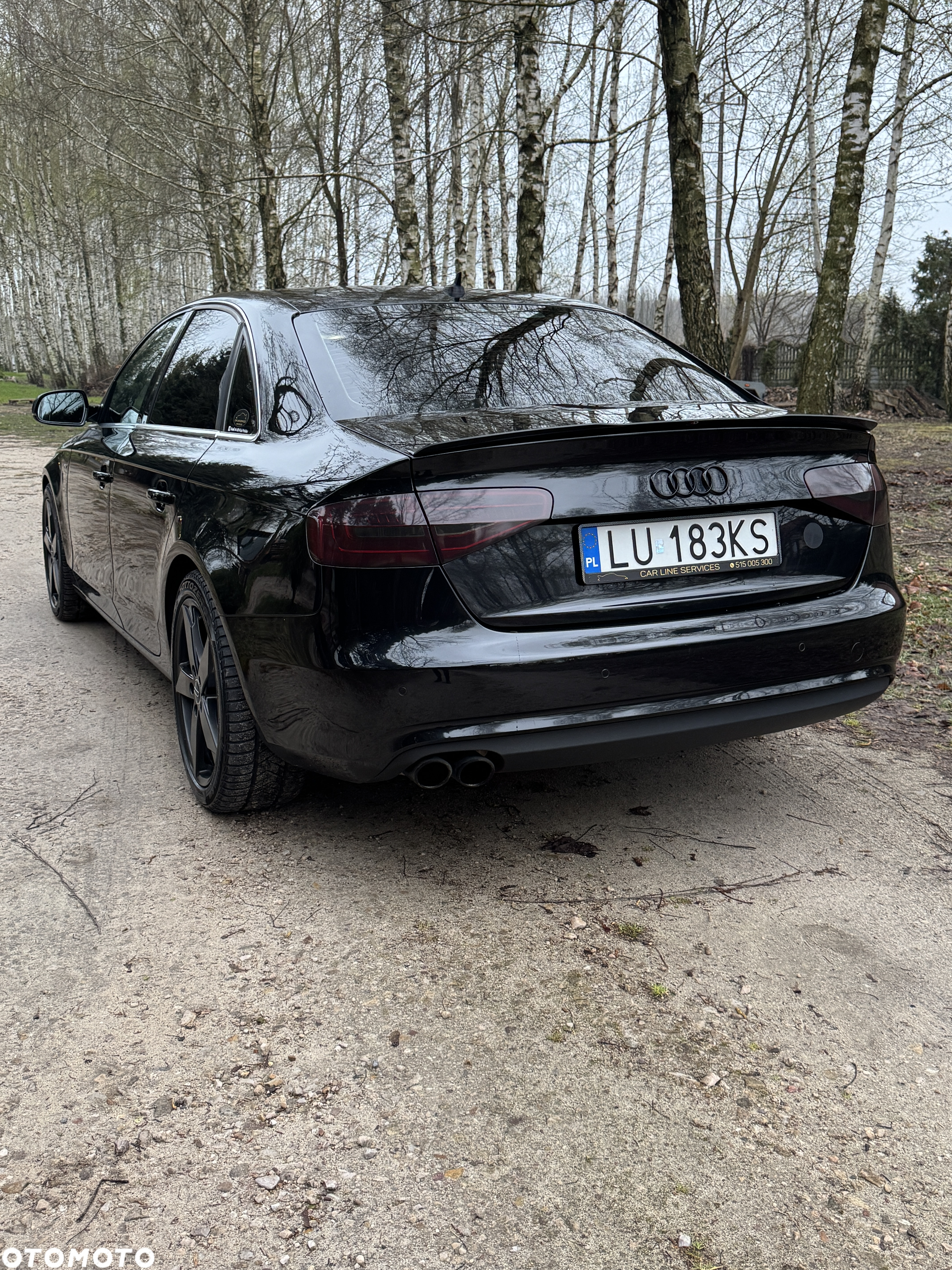Audi A4 2.0 TDI 116g - 2
