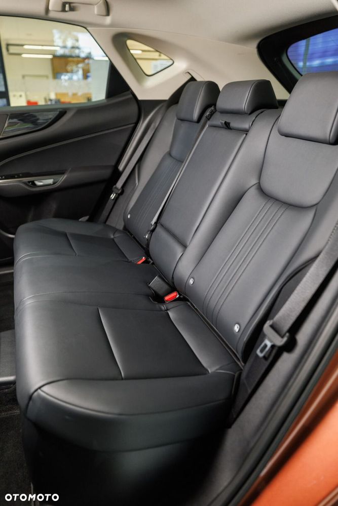 Lexus NX - 20