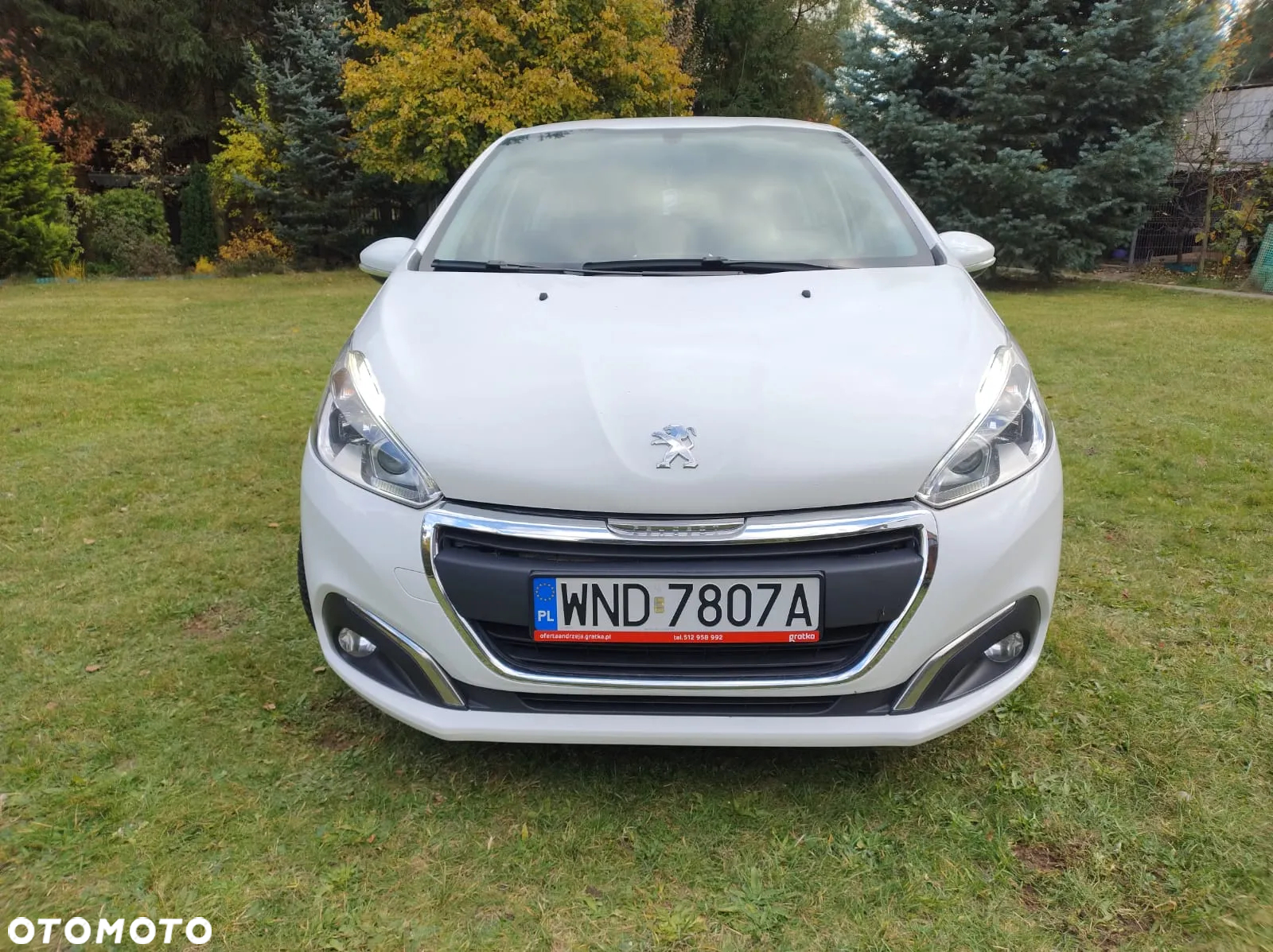 Renault Clio - 5