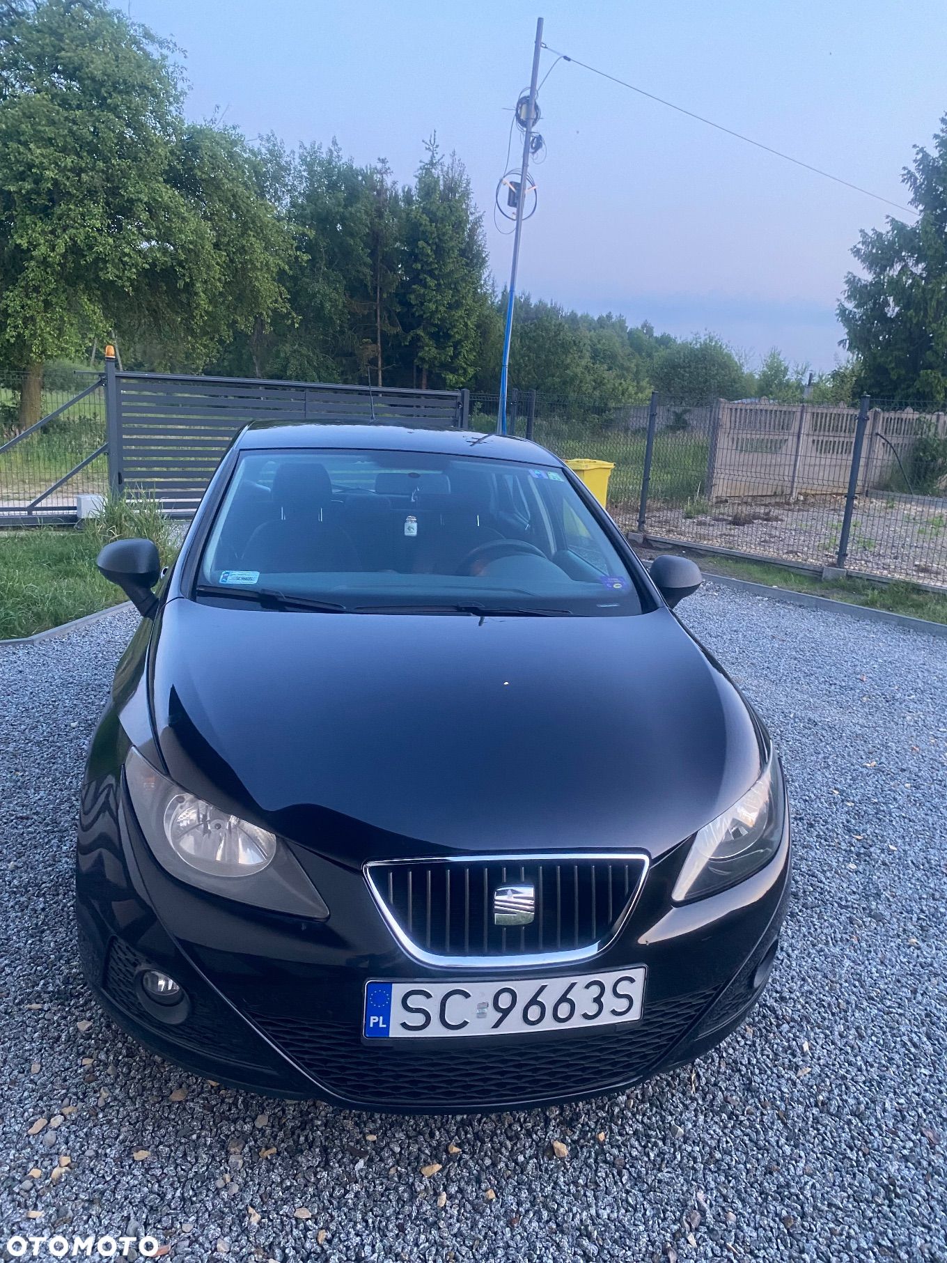 Seat Ibiza - 1