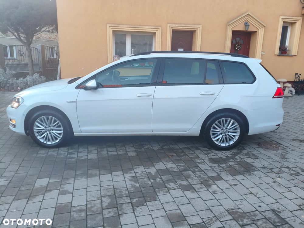 Volkswagen Golf 1.6 TDI BlueMotion Technology Cup - 3