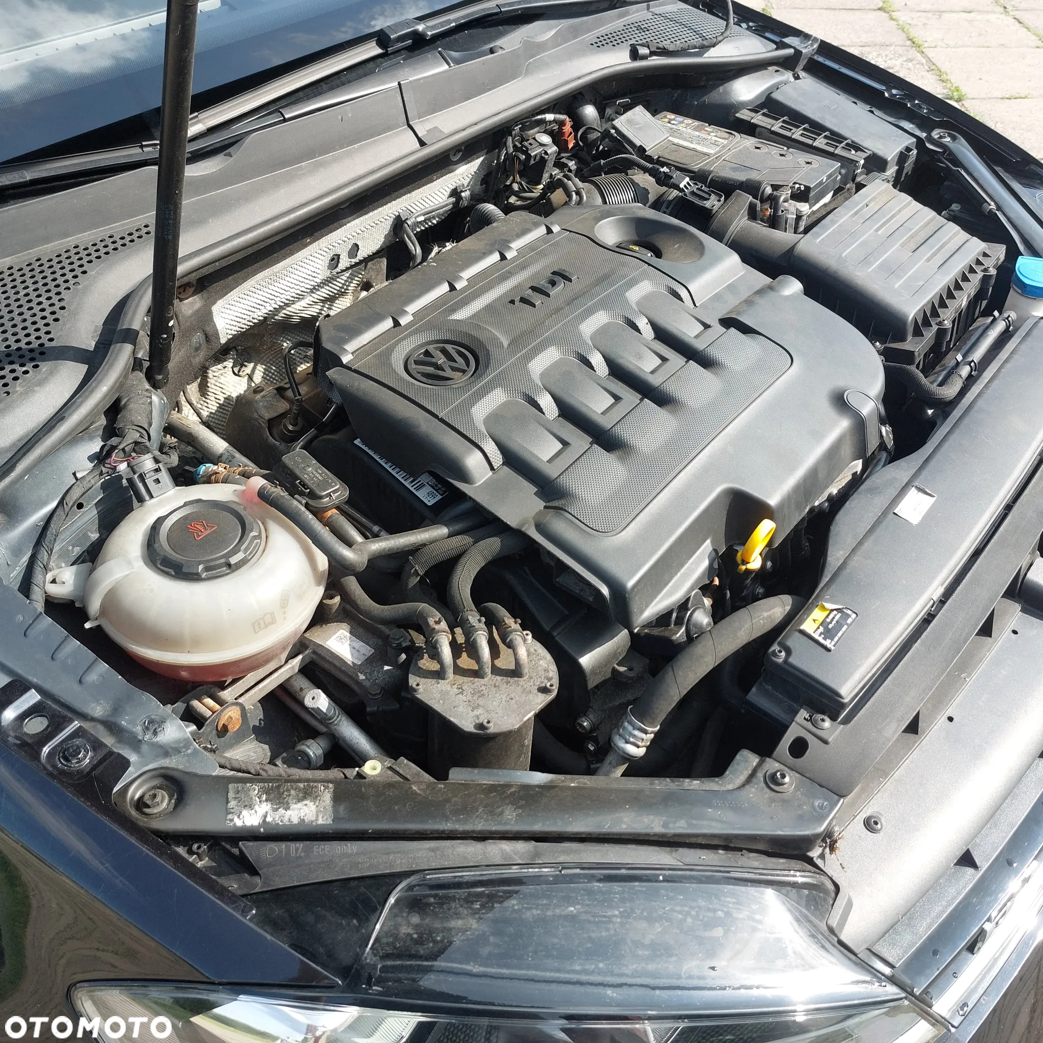 Volkswagen Golf - 18