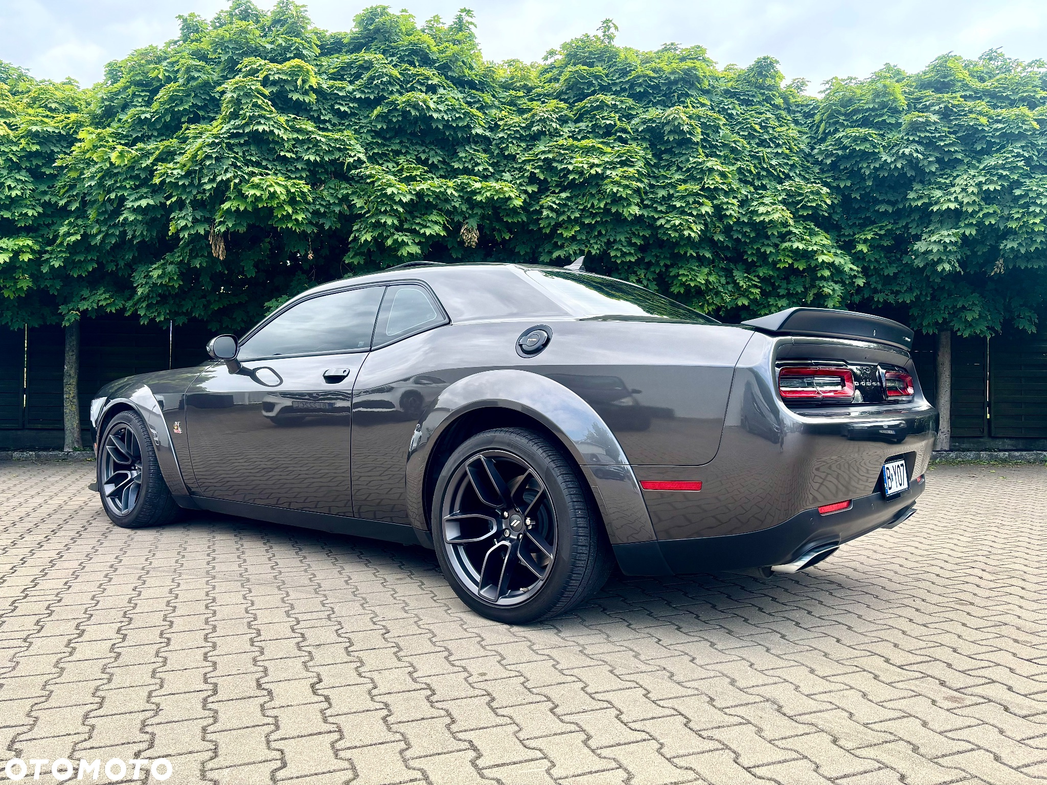 Dodge Challenger 6.4 Scat PackWidebody - 11