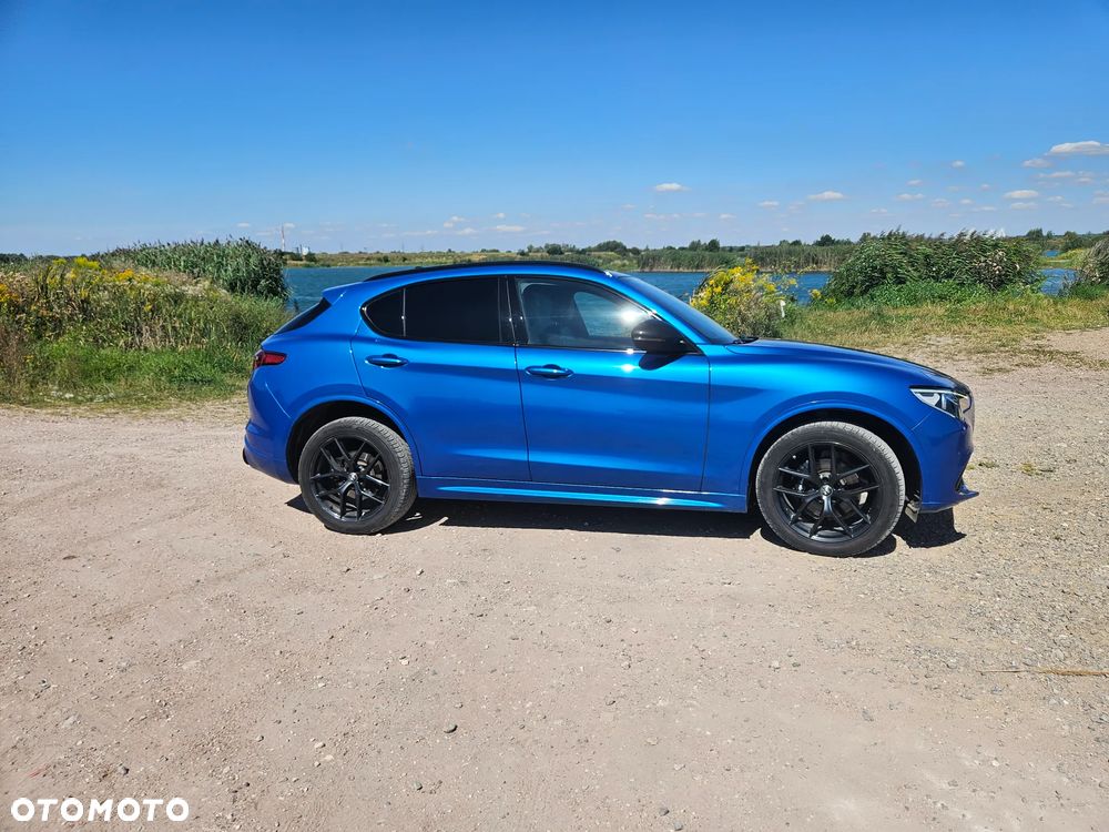 Alfa Romeo Stelvio 2.0 Turbo 16V AT8-Q4 Ti - 7