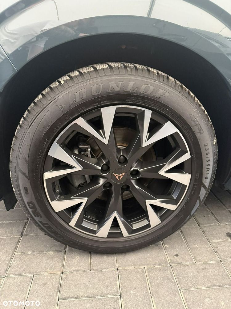 Cupra Terramar - 7