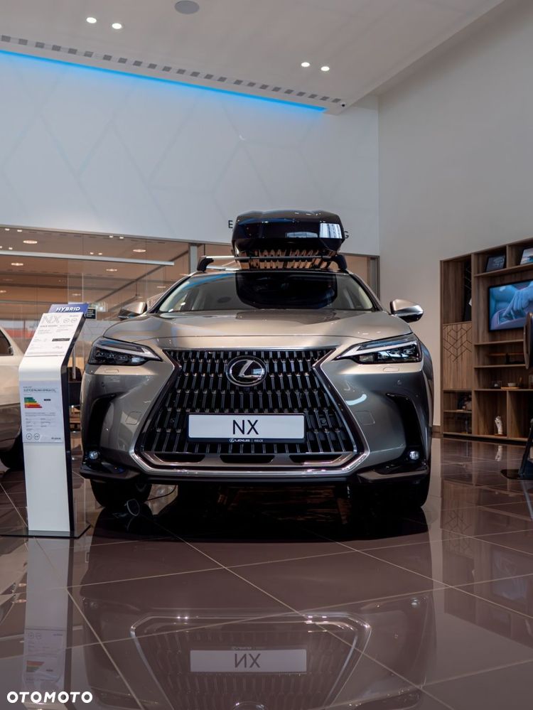 Lexus NX - 3