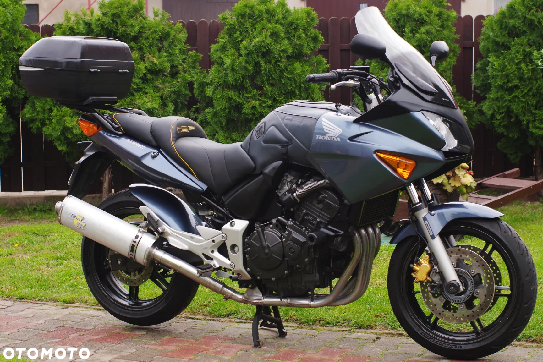 Honda CBF - 2
