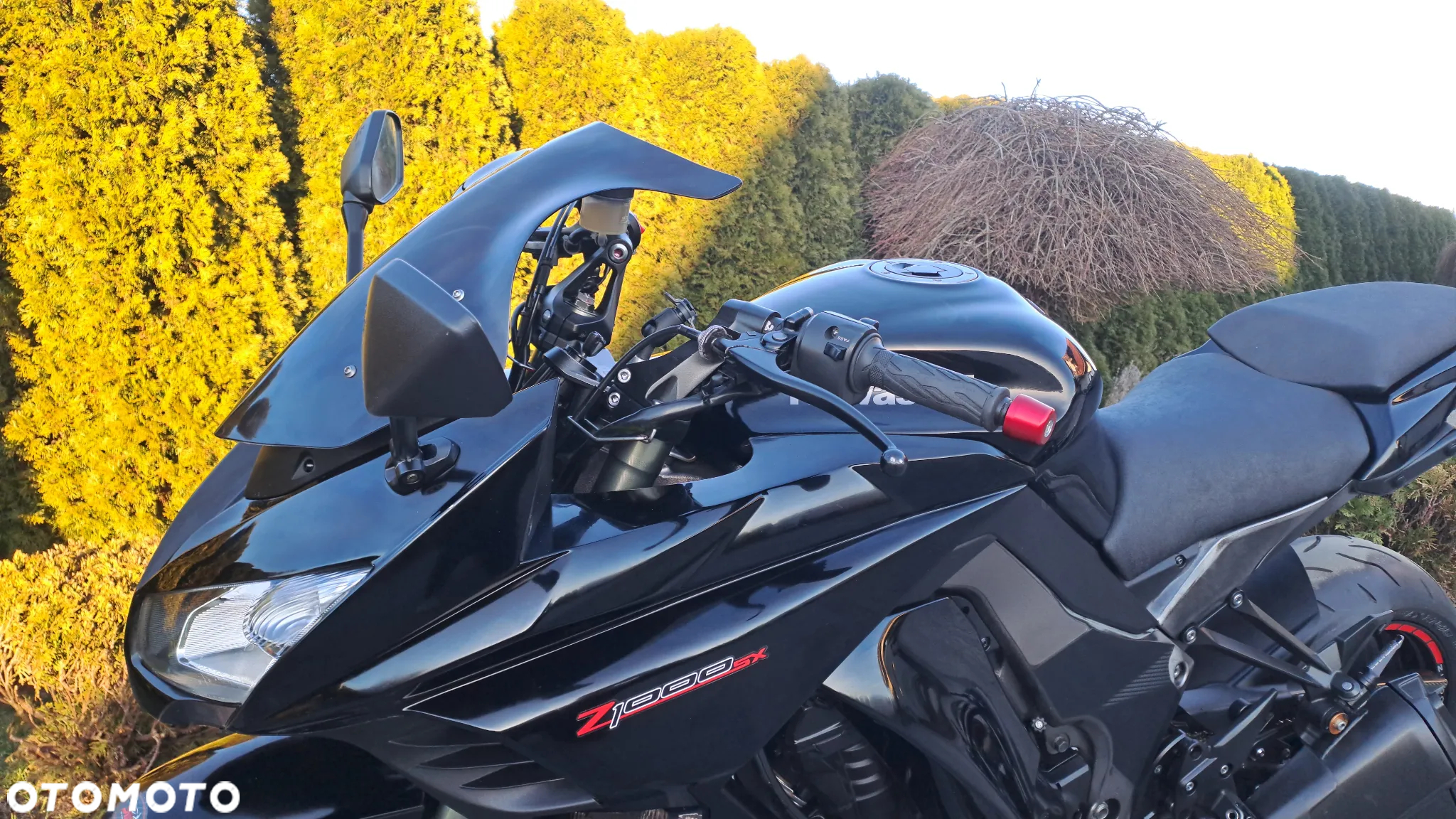Kawasaki Z - 32