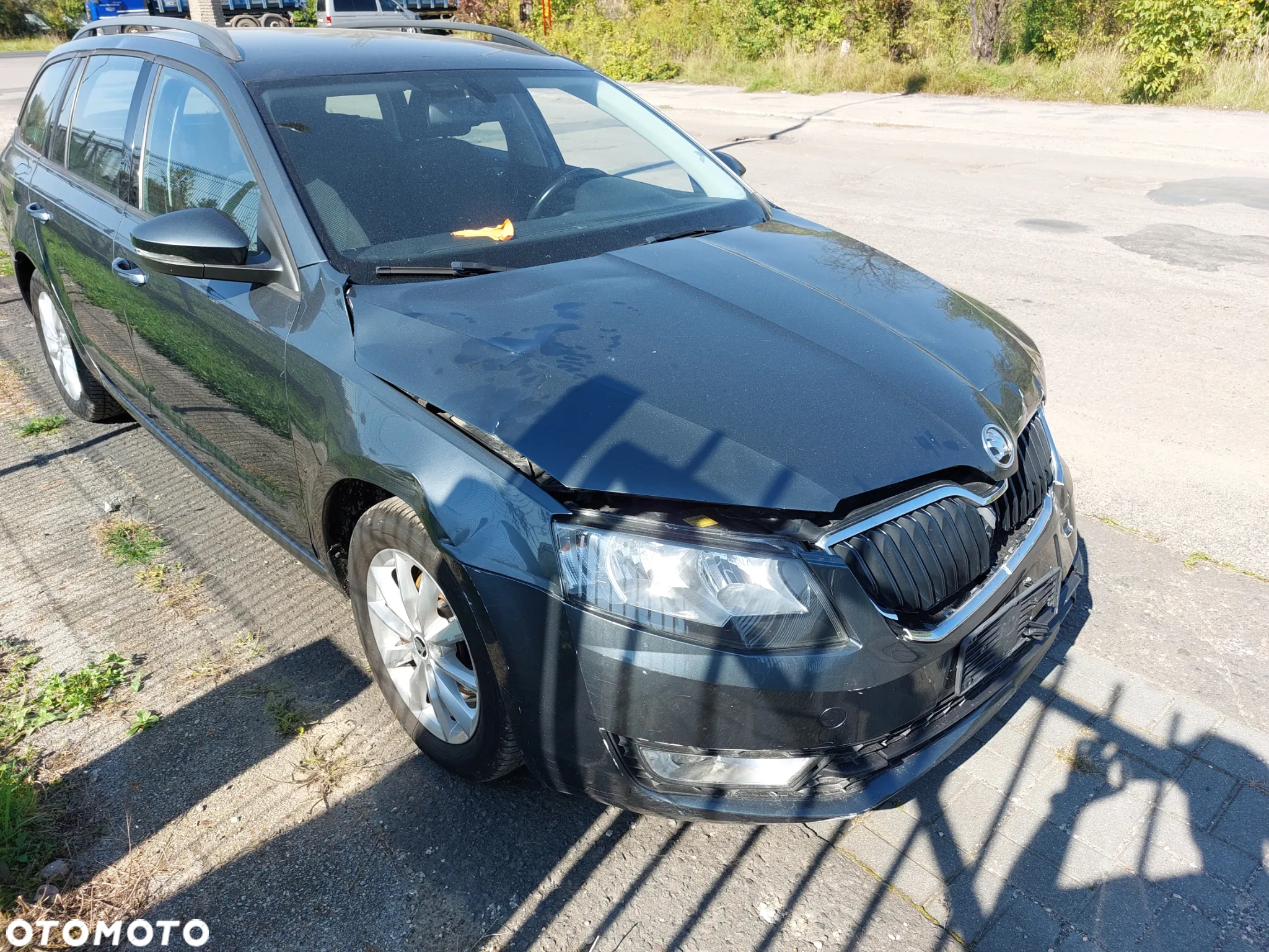 Skoda Octavia - 3