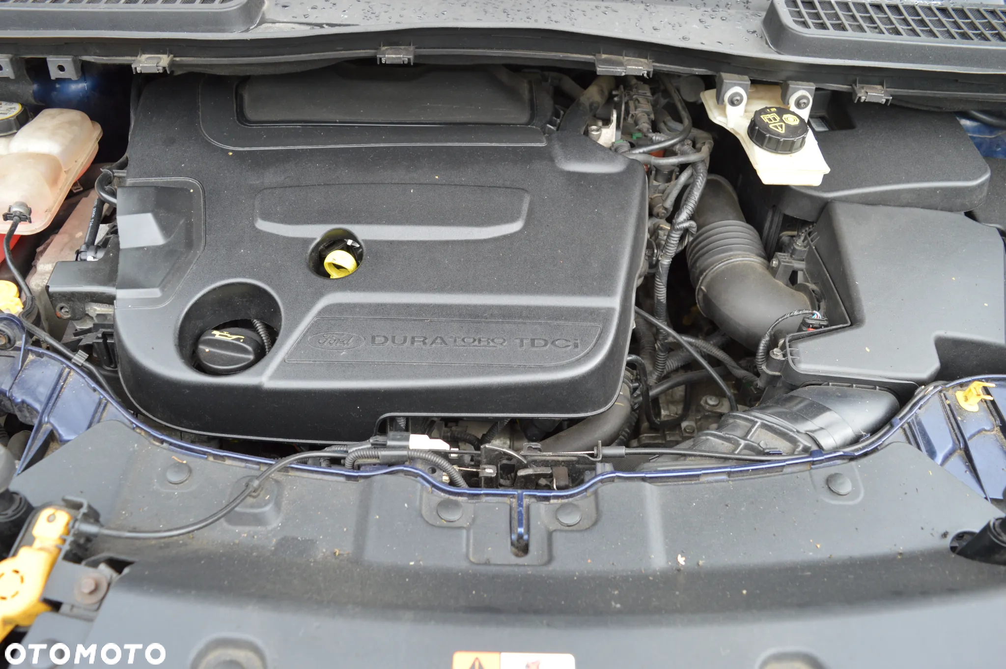 Ford Kuga 2.0 TDCi 4WD Titanium - 24