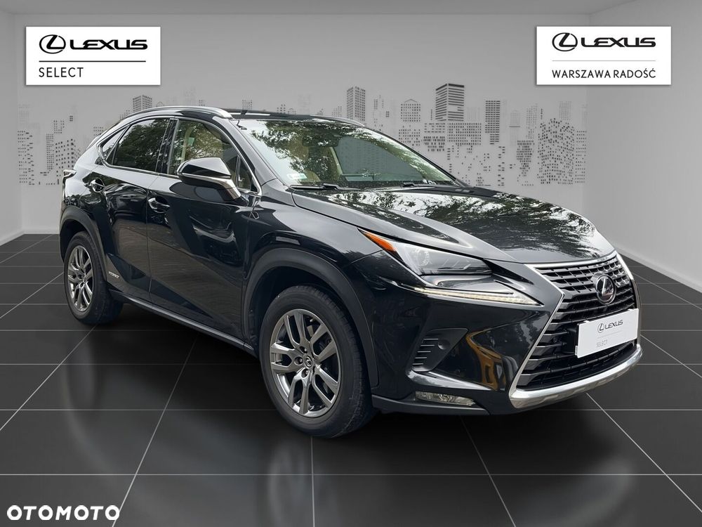 Lexus NX 300h Comfort AWD - 2