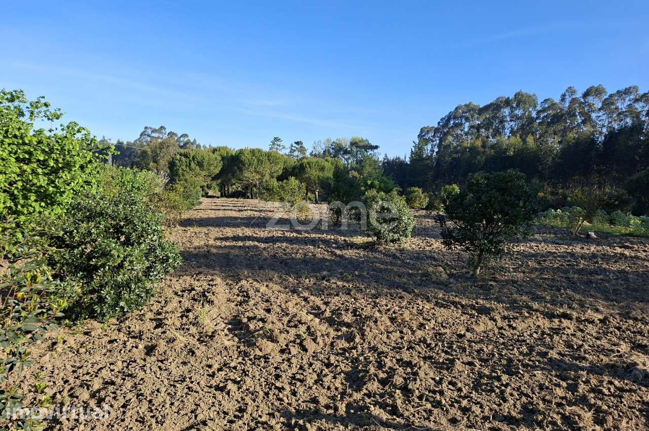 Terreno I 24 800m2 I Palhaça I Projeto moradia I 2 artigos - Grande imagem: 3/17