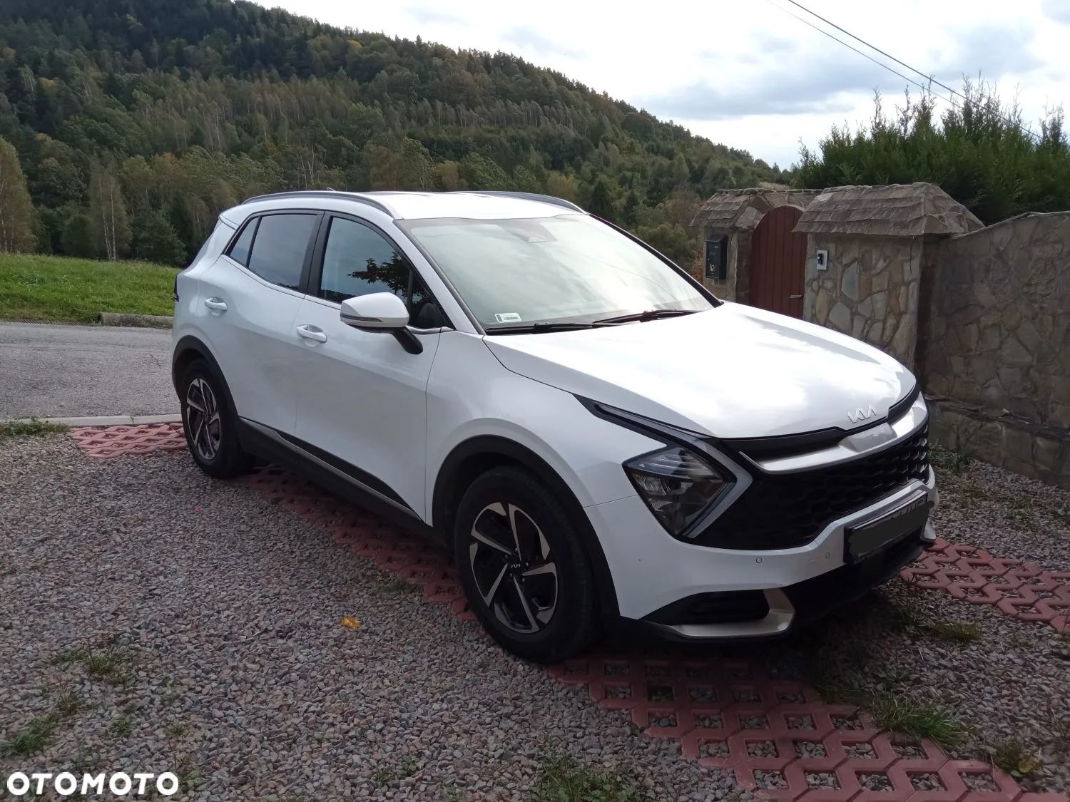 Kia Sportage 1.6 T-GDI L 4WD DCT - 1