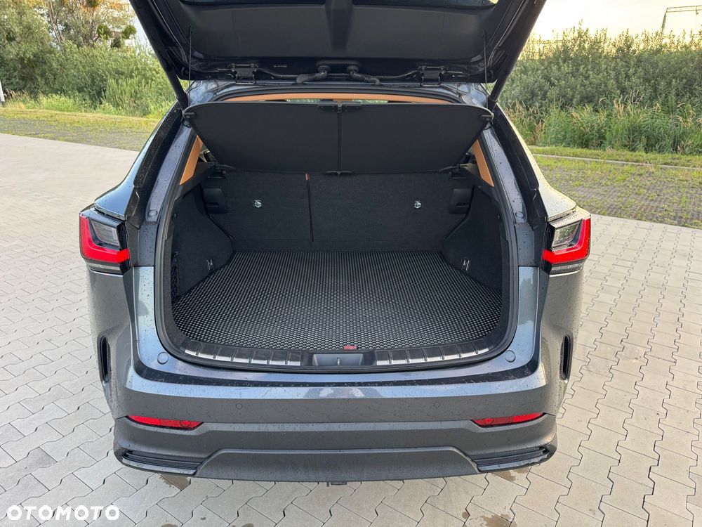 Lexus NX 350h Omotenashi AWD - 24