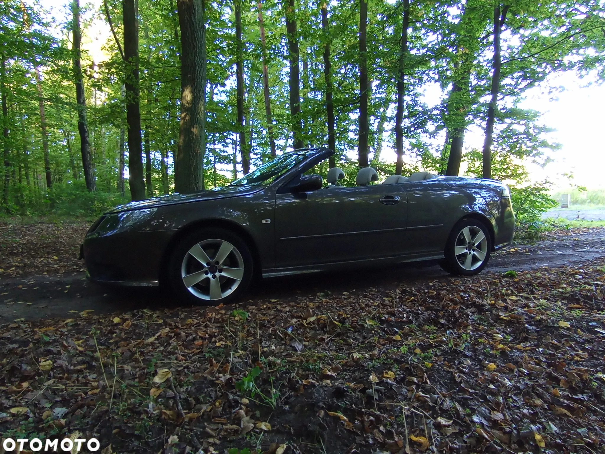 Saab 9-3X - 5