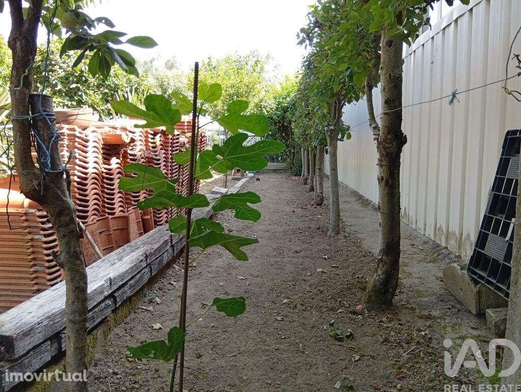 Terreno em Ucha de 695,00 m2 - Grande imagem: 3/28