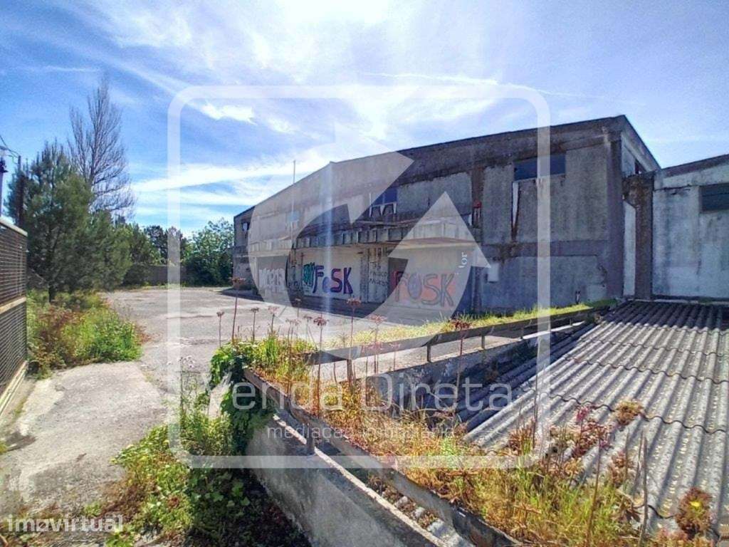Conjunto de 3 Armazéns, com 6500 m² inseridos em Terreno de 11.600 ... - Grande imagem: 2/11