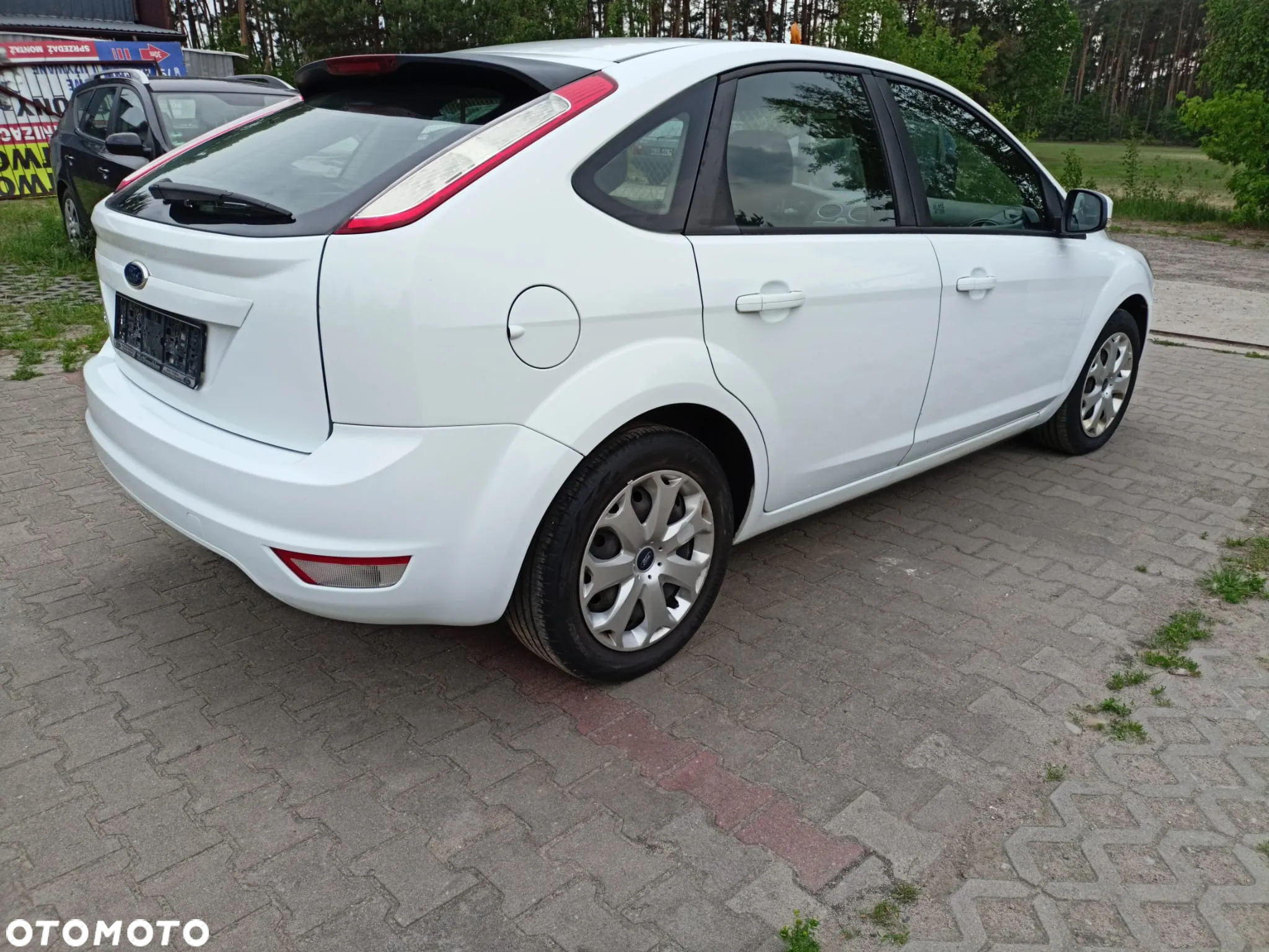 Ford Focus 1.6 16V White Magic - 8